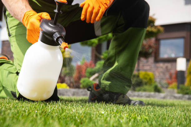 Best Affordable Pest Control Services  in Waite Park, MN